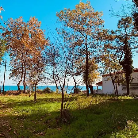 Beachfront Living At Its Coziest - Olympian Summer 펜션 리토코론