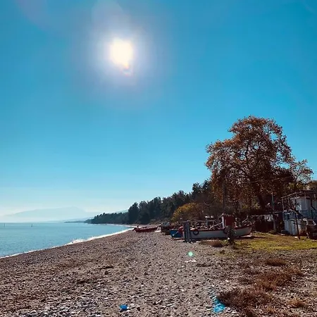 Beachfront Living At Its Coziest - Olympian Summer *